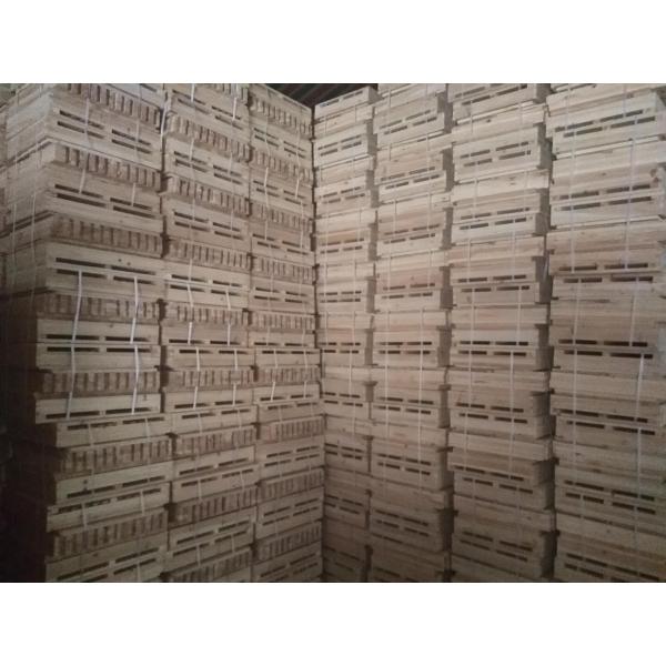 Улей рамки пчелы самой лучшей качественной ели Китая деревянный для Лангстротх