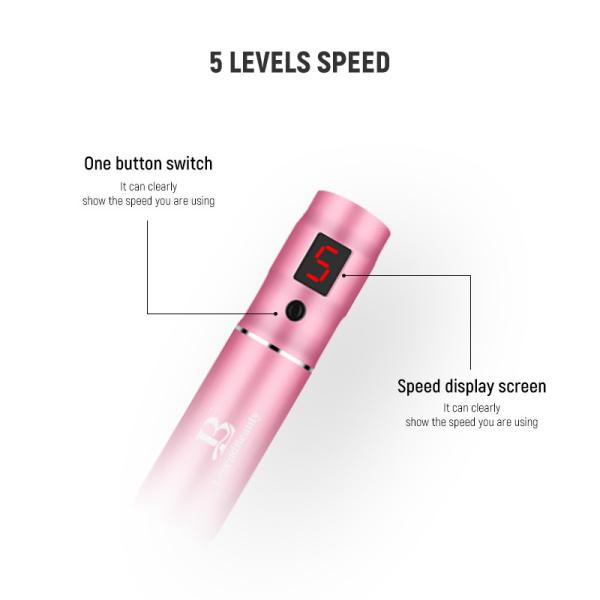 Newest Hot Sale Professional Skin Auto MD Electroporation Needle System Microneedling Derma Pen