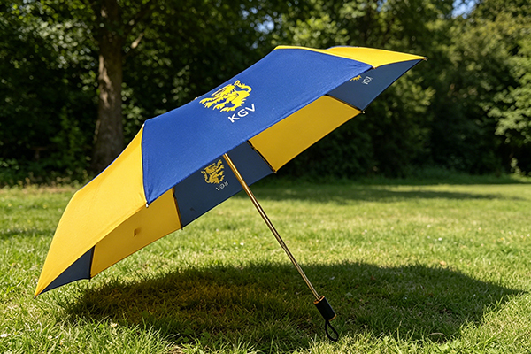 21 Inch Sublimation Printed Aluminum Frame Promotional Folding Umbrella for School Charity Fundraising