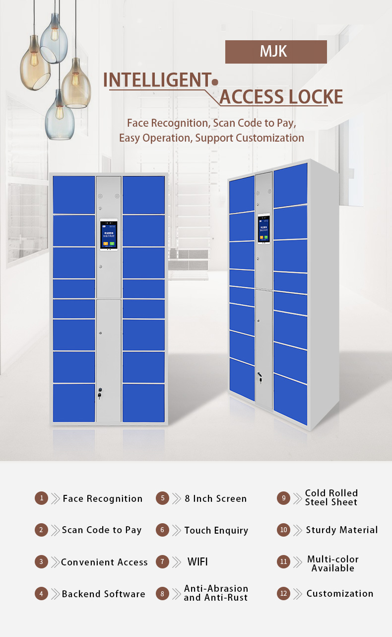 Intelligent Cold Rolled Steel Electronic Locker Self Pick-up Parcel Delivery Cabinet with Smart System