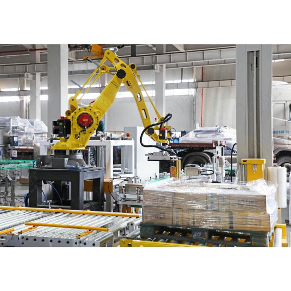 Bag Pet Food Palletizer System Packaging Production Line Equipment