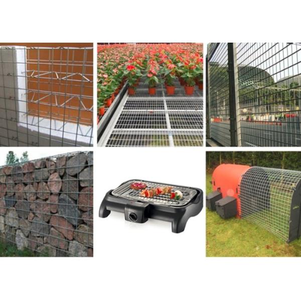 High Strength Green Metal Welded Wire Mesh Durable With 2.0mm-5.5mm Dia