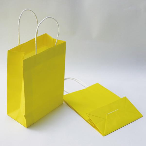 28*22*28cm Printed Paper Carrier Bags