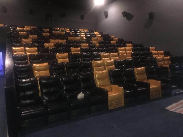 Antique Commercial Cinema Seats High Impact Polypropylene Back Textured Surface