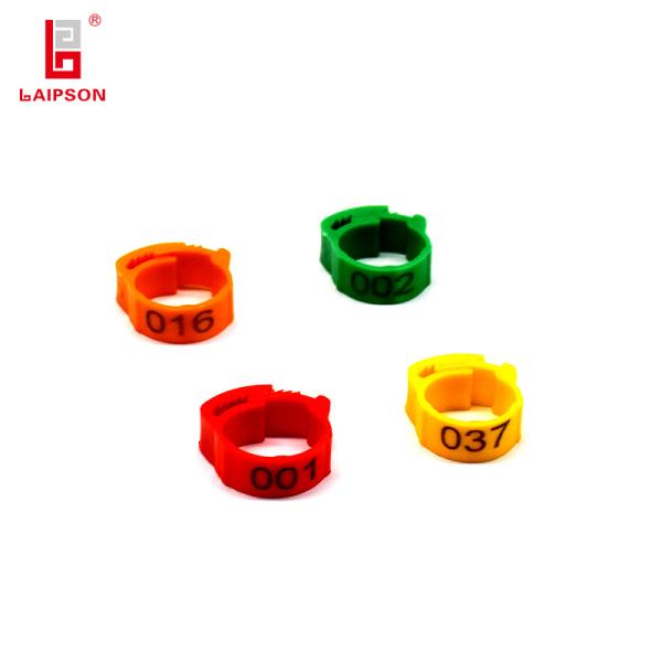 Chicken Foot Ring Easy To Identify Poultry Equipment For Poultry