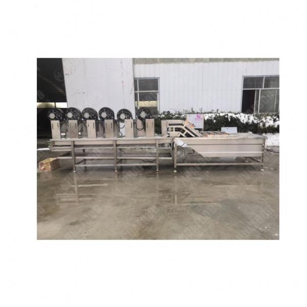 Automatic With Cooling System Vegetable Lettuce Cassava Yam Banana Potato Chips Fries Steam Conveyor Hot Water Blanching Machine
