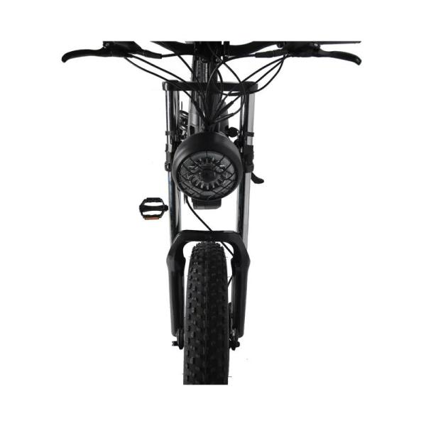 Down Tube Battery Position Fat Tire 1000W MTB Off Road Dirt Ebike Electric Bike Adult