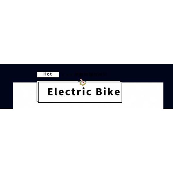 26 Inch High Speed Electric Bike , Folding E Bike 350W Lithium Battery
