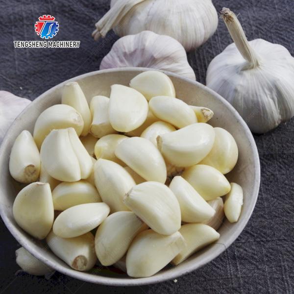 Garlic splitting machine minced garlic processing production Line