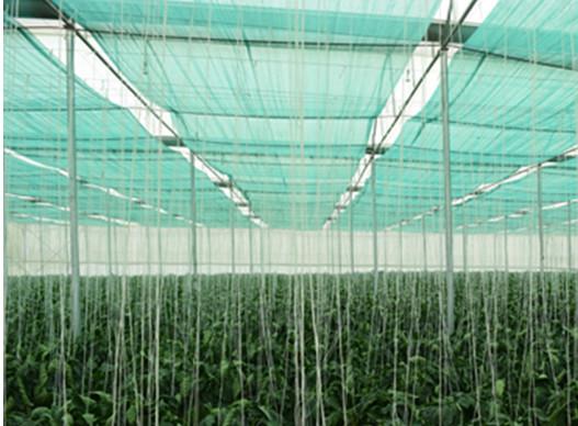 Agriculture Frame Mesh Harvest Bags / Mesh Vegetable Storage Bags