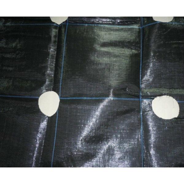 PP Black - Green Biodegradable Landscape Fabric For Stop Grass Growing