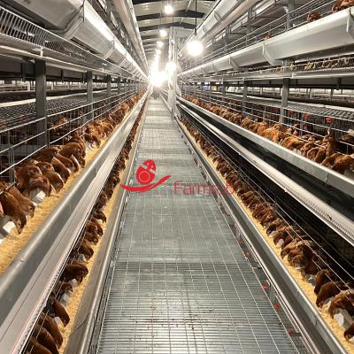 8 niveaux de couche de système de cage de poulet