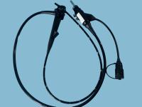 EG-590WR Endoscópio Médico Gastroscópio Flexível HD Visualização de imagem clara