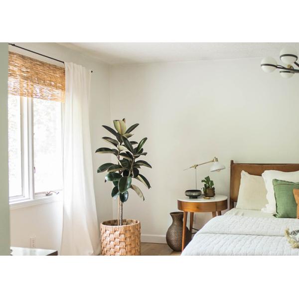 Бамбук китайского стиля свертывает вверх по шторкам ролика тени Солнца