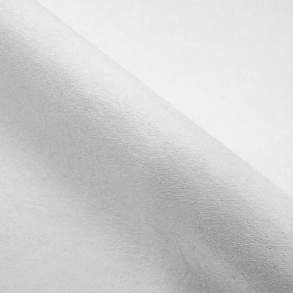 Woodpulp Compostable Spunlace viscoso não tecido