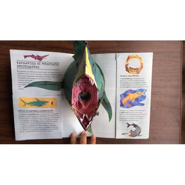 Eco - Friendly Children'S 3D Books Flap Board 3d Story Books For Kids