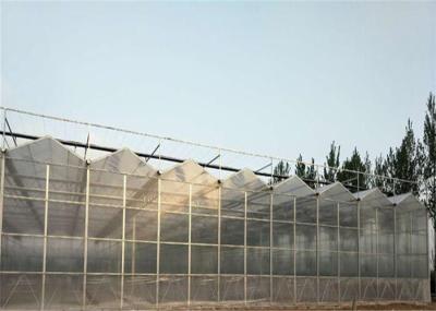 2.8mm - 20mm Thickness PC Sheet Greenhouse Low Heating Energy Consumption