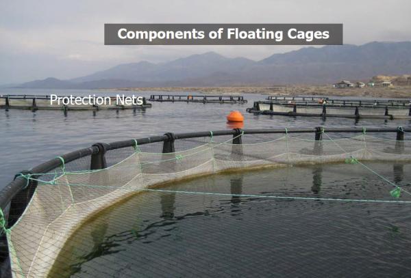 Deepsea 0.97g/Cm3 HDPE Floating Net Cage For Sea Aquaculature