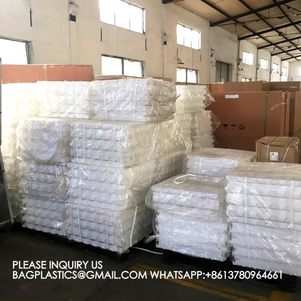 New Durable 600*600mm Plastic Slat Flooring for Pig Farm Floor Farrowing Sow Floor Farms