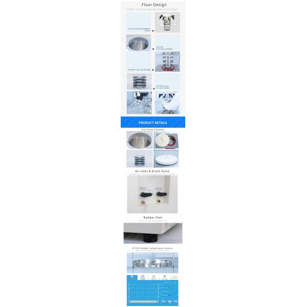 SUS304 Laboratory Freeze Dryer Mini Senova Biotech 6Kg Capacity