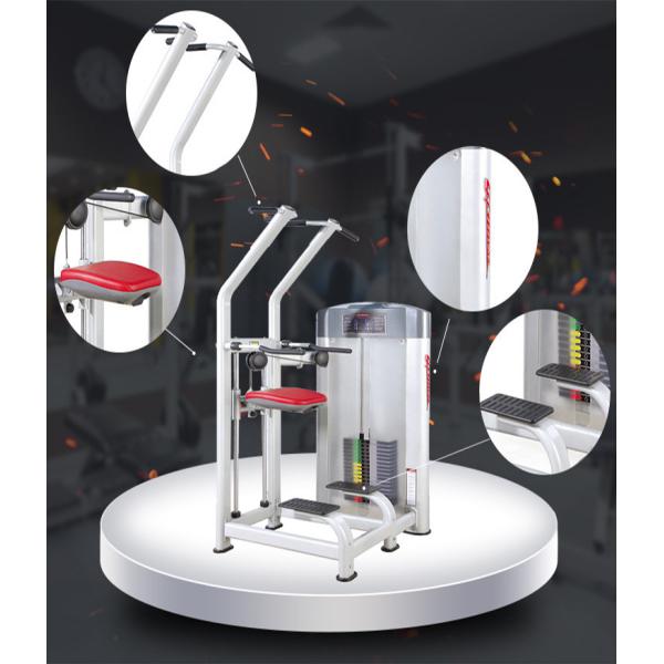 Life fitness gym workout equipment,assist dip chin exercise machine with wooden cases package