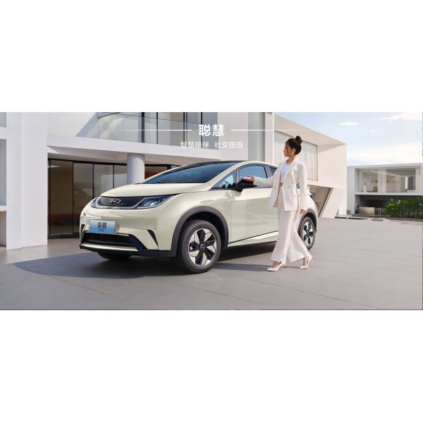 BYD 2025 Dolphin 520km Knight Edition EV