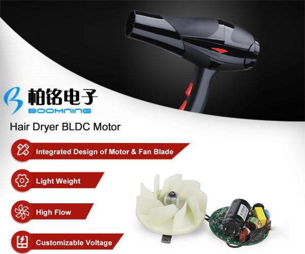 High Speed Hair Dryer Brushless DC Motor