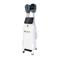 15 Máquina de estimulación muscular Tesla Ems 4 Manijas Máquina de escultura RF Ems