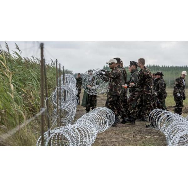 Охранитель из оцинкованной колючей проволоки из нержавеющей стали