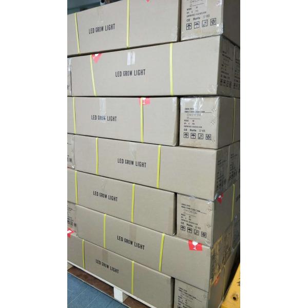 Small Size LED Plant Lights PMMA Lens High Transmittance With Custom Cable Length