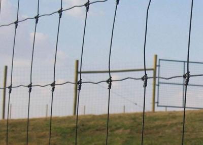 Galvanized Welded Wire Livestock Panels Low Carbon Steel Good Flexibility