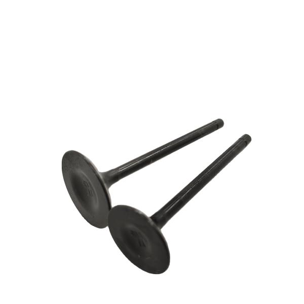 DAYANG moto à trois roues tricycle moteur en fer noir soupape de forgeage avec des matériaux