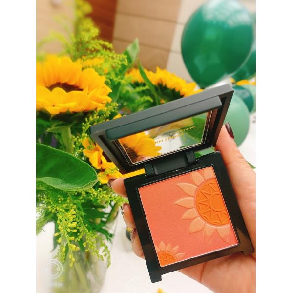 Blusher Двух-цветов высококачественного макияжа стороны восхитительный для производства метки частного назначения от полученной контракт фабрики