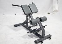 Equipamento completo customizável do exercício da extensão da parte traseira do Gym