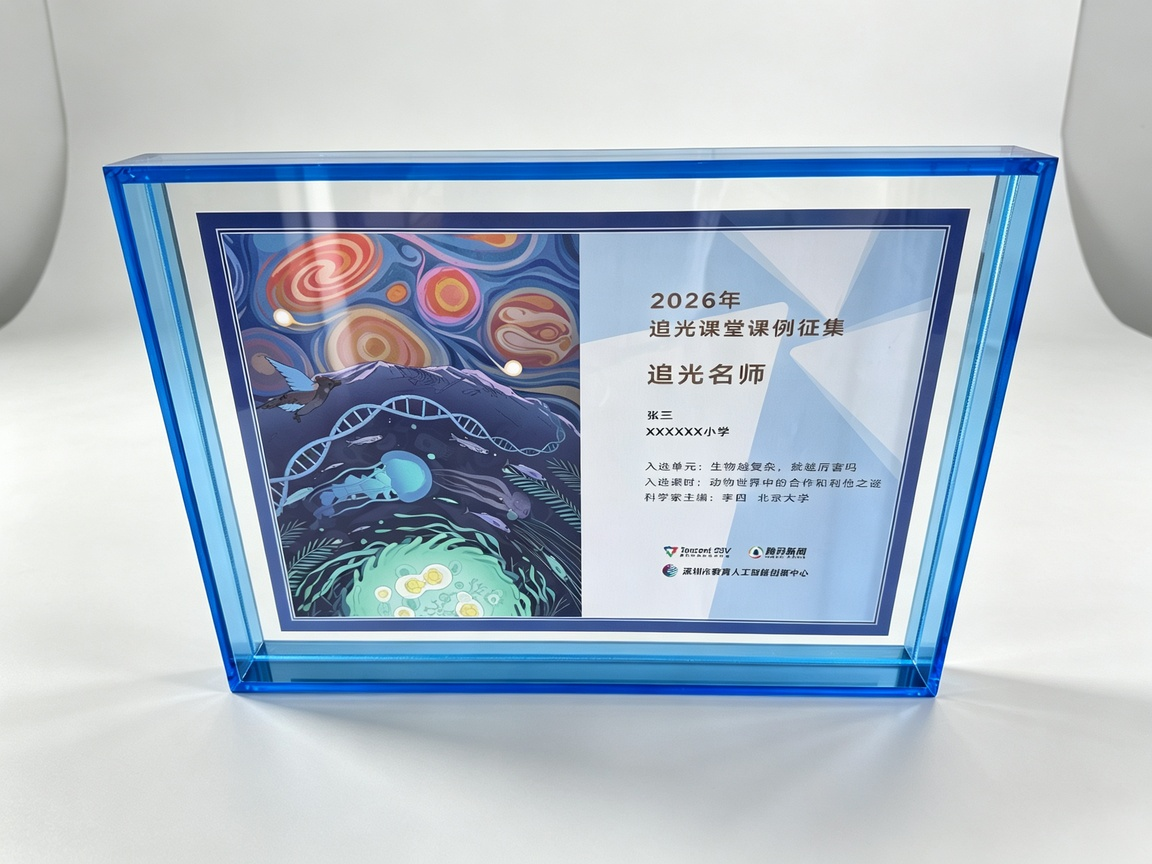 Wall Mounted Acrylic Certificate Frame, Custom Acrylic Award Frame for Corporate Honor Wall & Bulletin Board