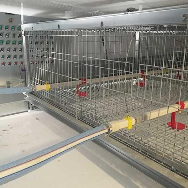 Gaiolas impermeáveis para pintainhos, gaiolas pequenas de aço da ninhada 380V das aves domésticas da forma de U