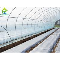 Poly mètres carrés commerciaux adaptés aux besoins du client de la serre chaude 10*30 de tunnel pour le concombre