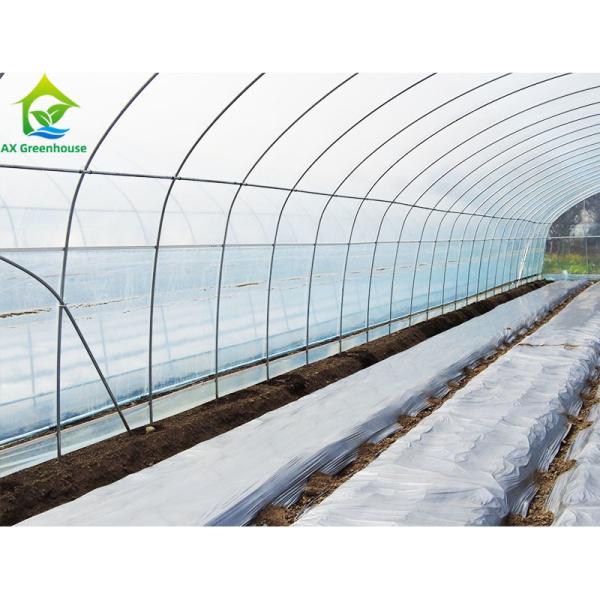 Filtro de plástico PE Resistente ao vento Poli Túnel Tomate Estufas Para Venda