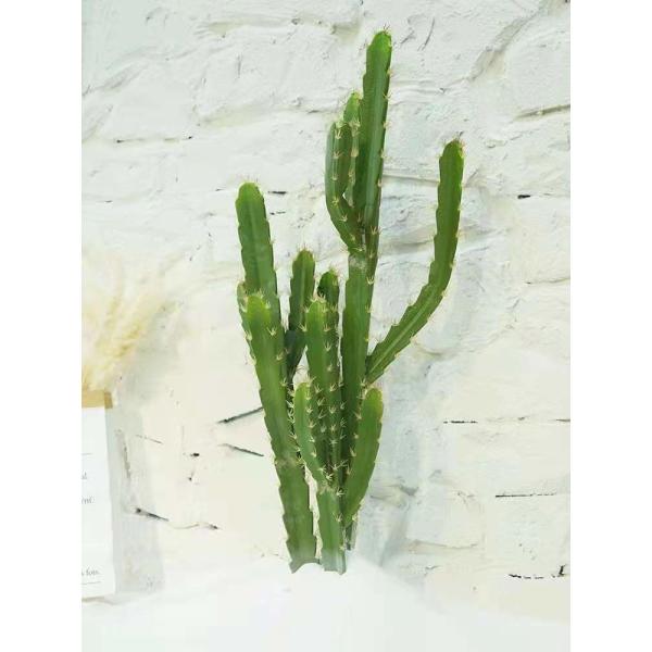 Nordic Cactus Artificial Green Plant Bedroom Floor Potted Fire Retardant