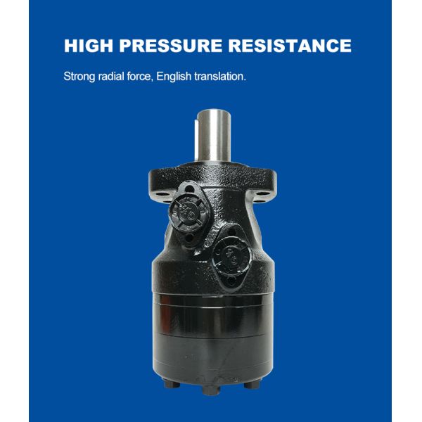 Heavy Duty Wear Resistant Hydraulic Motor Pump for Putzmeister with Strong Sealing Design