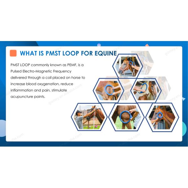 GOMECY PMST LOOP Импульсное электромагнитное поле ПЭМФ терапия Сплавленная 15Ампер Магнитная интенсивность 1000-6000 Гаусов для домашнего использования