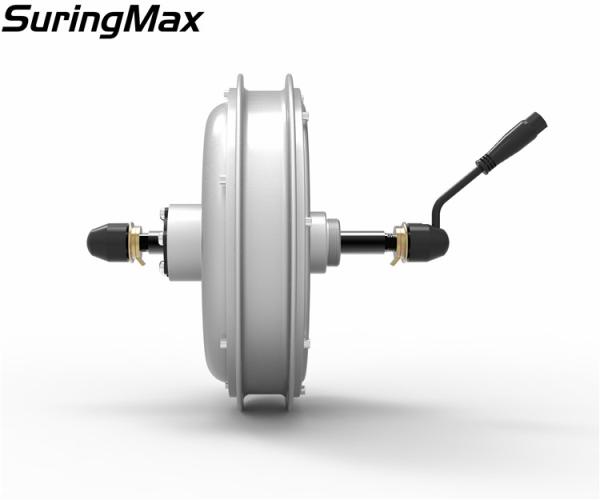 Brushless Gearless Fat Bike Hub Motor With 48V11.6AH LG Cell Lithium Battery