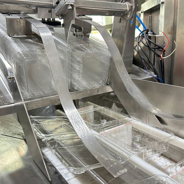 Auto Blueberry Frozen Vege Salad Vegetable Packing Machine Cherry Tomatoes Vegetable Weighing And Packing Machine
