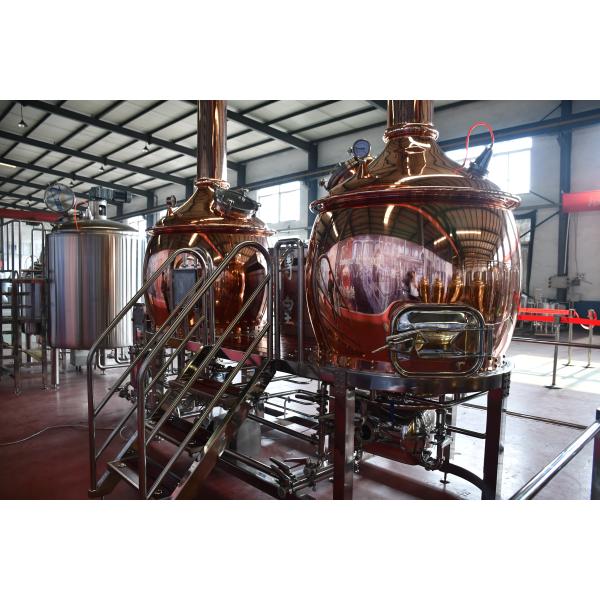 300L 500L 700L Craft Beer Equipment , Microbrewery Machine Stainless Steel 304