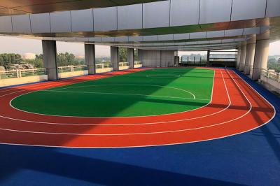 Customized EPDM Rubber PU Running Track With Excellent Shock Absorption And UV Resistance