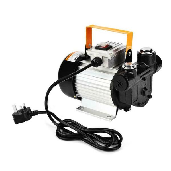 High Flow Compact Electric Oil Diesel Pumps 220V 60L/Min