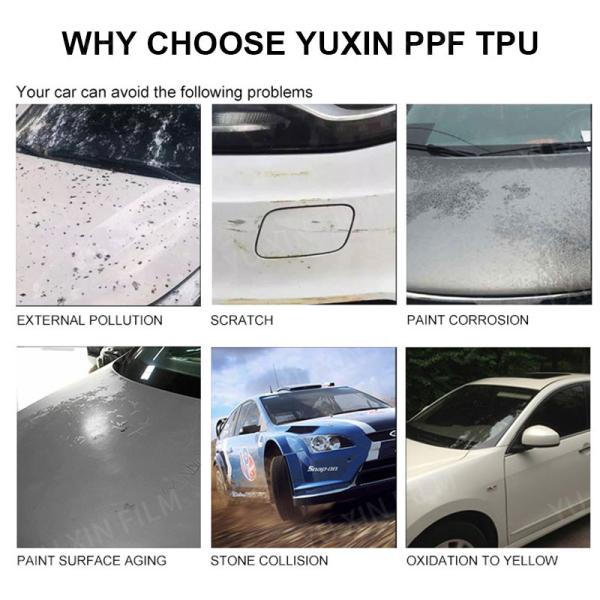 Ashland Glue TPU Paint Protection Film Easy Installation Film Tpu Factory Film