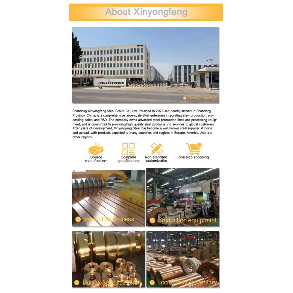Customized Copper Strip Coil C17200 QBe2 Beryllium Foil for Decorative
