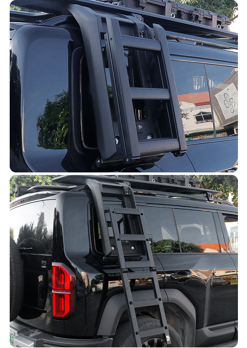 BYD Formula Leopard 5 Foldable Side Ladder Assembly (Roof Access Ladder)