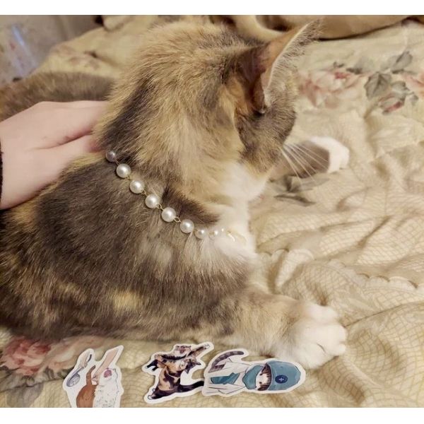CZX Pet Cute Handmade Necklace with Selection of Pendants Designed for Cat Dog Collar
